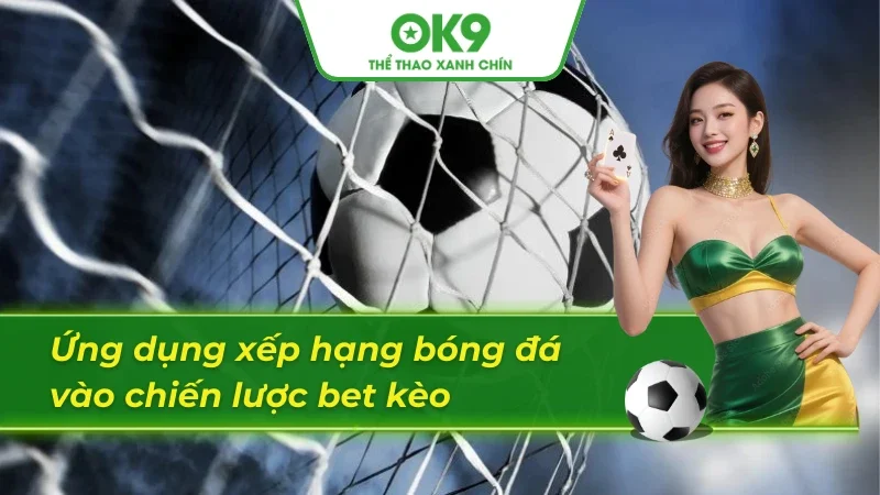 Tận dụng bảng xếp hạng bóng đá Đức để bet kèo hiệu quả hơn