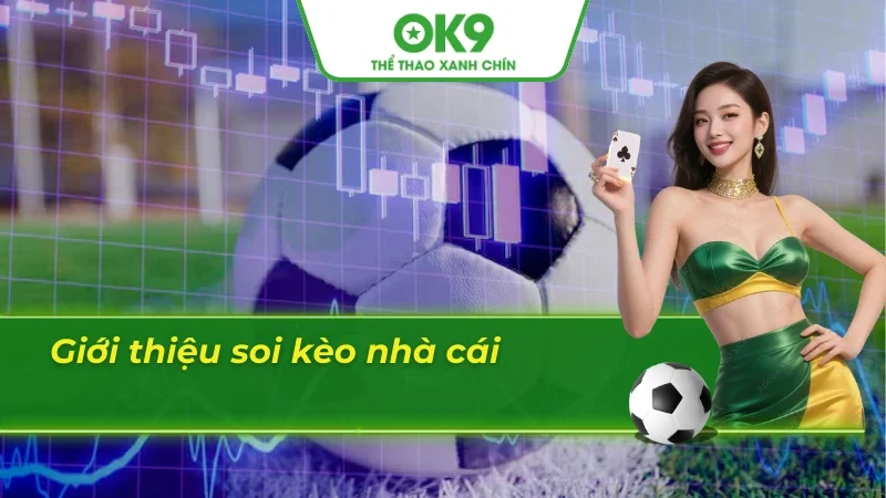 Thông tin đáng chú tâm về quá trình soi kèo nhà cái